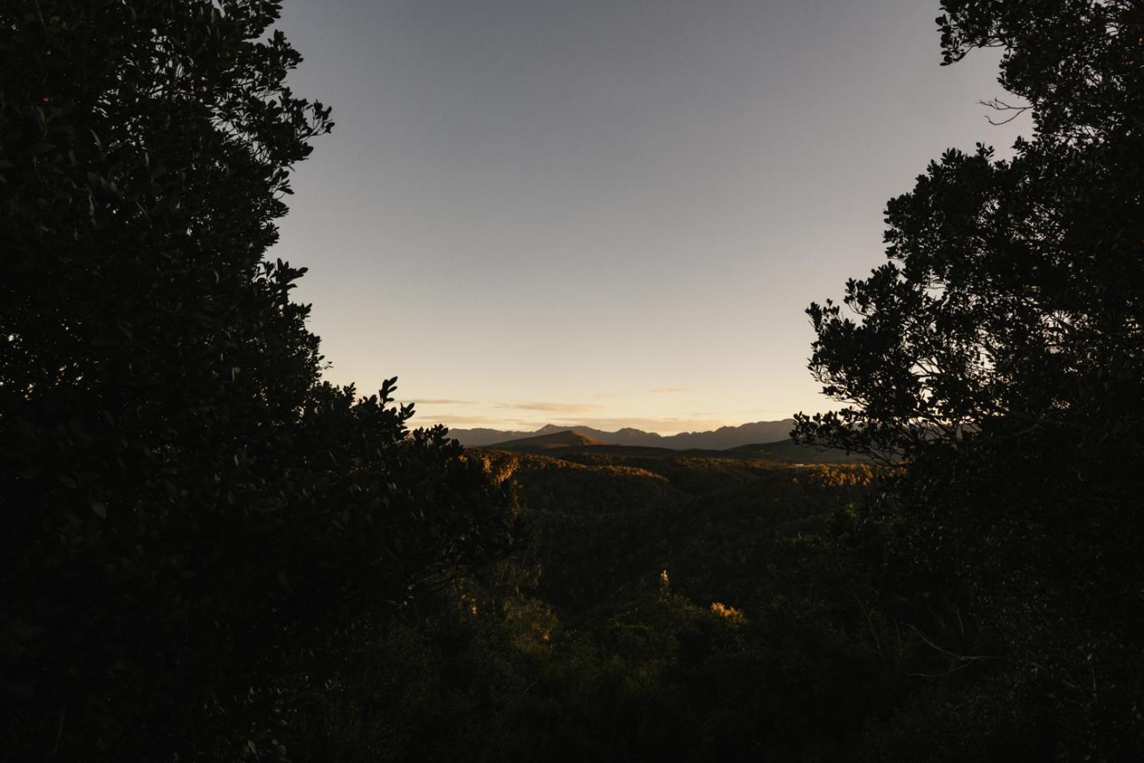 Villa Moonshine On Whiskey Creek The Crags Esterno foto