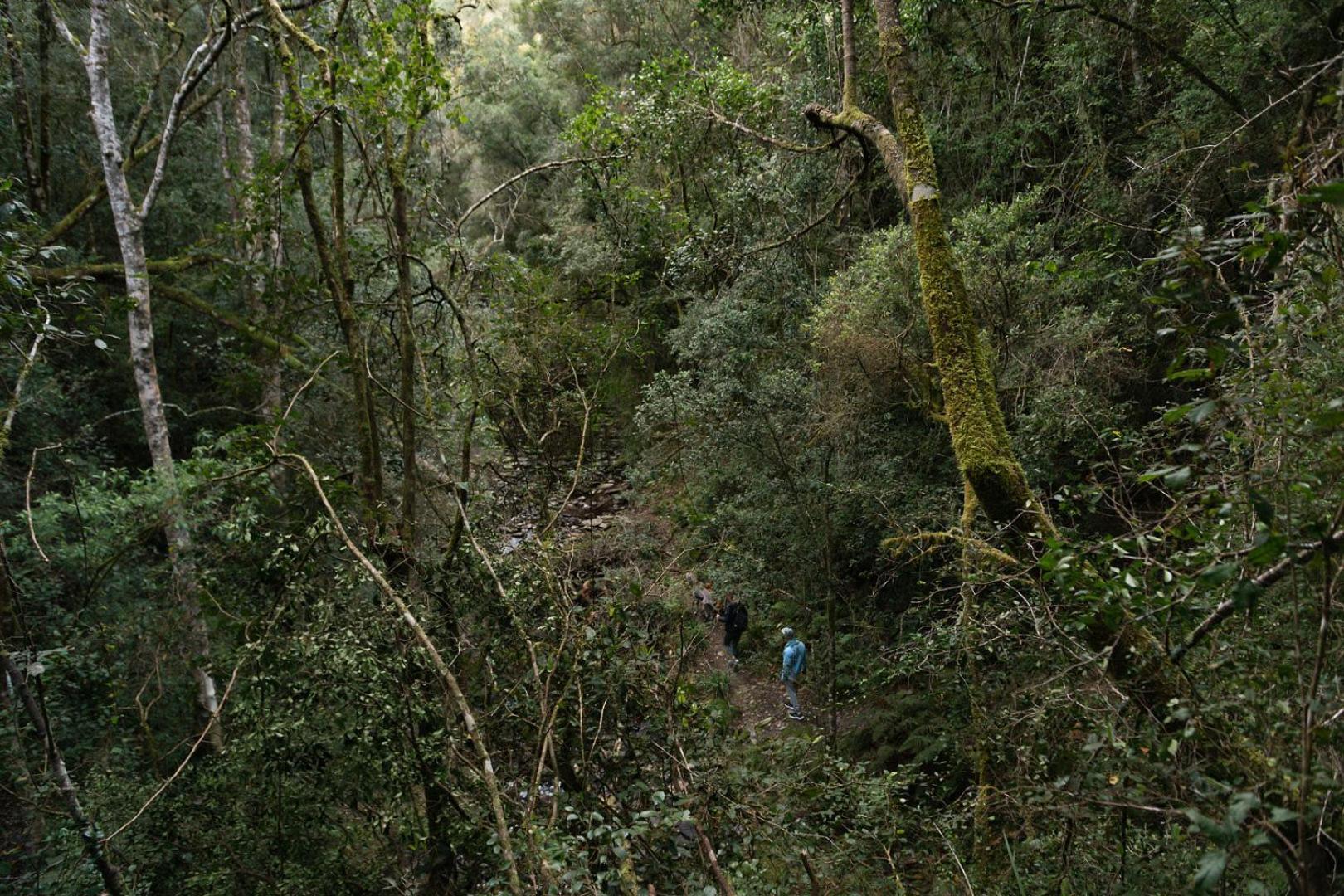 Villa Moonshine On Whiskey Creek The Crags Esterno foto