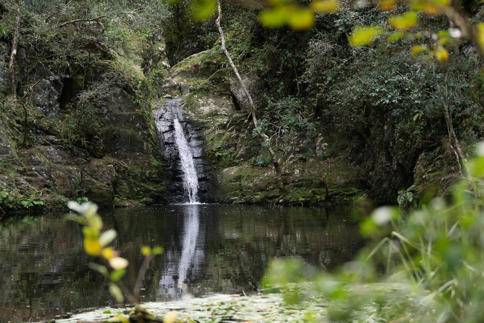 Villa Moonshine On Whiskey Creek The Crags Esterno foto